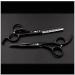 Professional Household Haircut Scissors Set - Black 5.5" & 6" Hairdressing Tools for Home & Barber Use - Buy Online on GoSupps.com