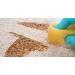 Spot and Stain Remover Carpet Cleaner - 32oz Spray for Tough Stains like Dirt, Juice, Coffee, Wine, and Food - Sofa and Rug Stain Eliminator - Multi-Purpose Cleaning Essential - Buy Online on GoSupps.com
