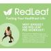 Red Leaf Pre Workout Energizer Powder with BCAA's and Amino Acids - Natural Cranberry Lime Flavor | 30 Servings - Buy Online on GoSupps.com