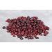 Stoneridge Orchards Sweet & Tangy Dried Cranberries 5 oz - Premium Snack - Buy Online on GoSupps.com