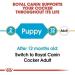 Royal Canin Cocker Puppy Food 3kg - Buy Online on GoSupps.com