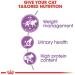 Royal Canin Sterilised Adult Dry Cat Food 2kg 2 kg (Pack of 1) - Buy Online on GoSupps.com