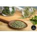 Naturevibe Botanicals Parsley Flakes 3.53oz (100g) - Petroselinum crispum var. neapolitanum - Buy Online on GoSupps.com