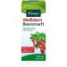 Kneipp Hawthorn Berry Juice (200 ml) - Natural Health Drink for Heart Support | Shop Now Worldwide - Buy Online on GoSupps.com