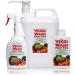 Veggi Wash & Fruit-Too 750ml: Ready-to-Use Spray for Cleaner Produce - Buy Online on GoSupps.com