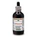 Hawaii Pharm Europe Astragalus (Astragalus Membranaceus) Powdered Root Liquid Extract Tincture 120 ml 120 ml (Pack of 1)