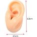 Professional Ear Piercing Tool Silicone Ear Model Practice Piercing Tools Ear Stud Display Tool Body Jewelry - Buy Online on GoSupps.com