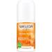  Weleda Weleda Sanddorn 24h Roll-On Deodorant (2 x 50 ml) - Buy Online on GoSupps.com