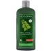 Logona - 1003shahen - Hair Care and Beauty - Henna Highlights Shampoo - 250 ml - ORGANIC - Buy Online on GoSupps.com