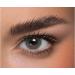 Anesthesia colored contact lenses addict Celeste (diopttria -2.50) -strongly covering monthly lenses for 6 months in hazelnut brown particularly natural result for dark eyes