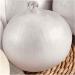 5g120 Belaya Koroleva Onion Seeds - Buy Online on GoSupps.com
