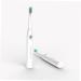 Beavorty Five Speed Vibration Electric Toothbrush - USB Charging Pink - 1 Pack - Buy Online on GoSupps.com