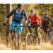 Ergon GP1 Large Grips - Ergonomic Design for Comfortable Cycling - Buy Online on GoSupps.com