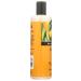 Shikai Yuzu Shower Gel - Refreshing Citrus Foaming Cleanser for All Skin Types | Shop Internationally - Buy Online on GoSupps.com