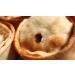 Scotch Pie Dry Spice Seasoning Mix - 125g (Just add meat and water to spice mix then fil into pie shells) Fills 12 pie shells - Buy Online on GoSupps.com