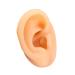 SHENGJMXIN GHuman Ear Model Simulation Artificial Human Right Ear Silicone Ear Model for Ear Picking Ear Piercing Teaching Acupuncture FakeEar Display Sample Practice Teaching Tool