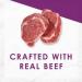 Purina Fancy Feast Savory Centers Gravy - Gourmet Wet Cat Food for Adults - Buy Online on GoSupps.com