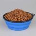 Axgo Foldable Silicone Dog Bowl - Portable Travel Feeder for Dogs - Blue - Buy Online on GoSupps.com