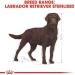 Royal Canin Labrador Sterilised Adult Dog Food 12 kg Variety 12 kg (Pack of 1) - Buy Online on GoSupps.com