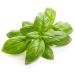 Basil Aromatherapy Essential Oil - 1/2 oz - Buy Online on GoSupps.com