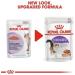 Royal Canin Sterilised Adult In Gravy Wet Cat Food 85g (Pack of 48) - Buy Online on GoSupps.com
