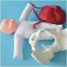 Slrmkk Female Pelvic Model for Birth Screening - Realistic Baby Pool & Removable Placenta Cord - Ideal Educational Tool for Anatomical Studies - Buy Online on GoSupps.com
