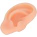 Silicone Acupuncture Ear Model - Professional Simulated Teaching Tool (Right Ear) - Buy Online on GoSupps.com