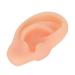 Simulated Ear Silicone Professional Soft Elicate Ears Acupuncture Models for Explanation(Right)