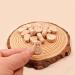 Wendysun 10pcs Cartoon Wood Teether: Natural Animal Gourd Baby Teething Toy Set - Buy Online on GoSupps.com