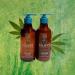  BE CARE LOVE Believe Connect CBD Shampoo - Buy Online on GoSupps.com