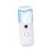 WOONEKY Mini Sprayer Portable Facial Moisturizer Nano Spray Humidifier for Skin Care