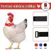 6-Piece Anti-Crow Rooster Collar - Nylon Neck Belt to Prevent Chicken Noise and Disturbance - Buy Online on GoSupps.com