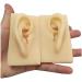 Artificial Human Ear Silicone Ear Model - Simulation Silicone Ear Model for Micro Plastic Surgery Module Pierced Ear Piercing Demonstration Teaching Props - Buy Online on GoSupps.com