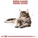 Royal Canin Maine Coon Adult Dry Cat Food 400g - Buy Online on GoSupps.com