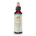 Original Bach Flower Drops No. 8 Chicory: Be there for your fellow human beings with the Bach Flower Chicory 20ml