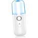 FOMIYES 2pcs Nano Water Replenishing Instrument Mini Face Steamer Mist Steamer Handy Nano Hydrator Cosmetic - Buy Online on GoSupps.com