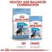 Royal Canin Maxi Puppy Dry Food 15kg - Buy Online on GoSupps.com