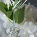 TianDe Altea 10106 Essence visage au collag ne et aux algues hydratation de qualit et aspect rayonnant 30 ml - Buy Online on GoSupps.com