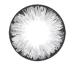 Matlens -EOS Colored contact lenses with strength Circle lenses gray gray ICE II 2 lenses 1 contact lens container 1 care product 50ml -2.75 Dioptria 8.6 millimeters 14.00 millimeters 2.0