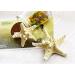 2 Pcs Starfish and Seashell Hair Clips for Mermaid Costume - Women's Sea Shell Ariel Headpiece - Buy Online on GoSupps.com