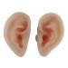 Simulation Ear Model - 1 Pair Soft Silicone Artificial Ear Model - Acupuncture Practice Human Left Right Ear Model - for Piercing Practice Jewelry Display Props