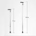 WANGXIAOLINshouzhang Walking Stick Crutches Medical Anti-Slip Elderly Multi-Functional Lightweight Walking Stick Adjustable 10 Height Walking Stick (Color : E) (Color : C) - Buy Online on GoSupps.com