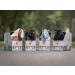 LeMieux Toy Pony Sam for Kids - Grey - Soft Coat - Flexible - Suitable for Ages 3 Years + - Buy Online on GoSupps.com