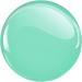 Lola Lee | Nail Polish | Cute And Classy | NP061 | 15ml | Quick Drying | Non Toxic | Gloss & Shine | 100% Vegan | Cruelty Free | Long Lasting - Buy Online on GoSupps.com