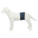 Trixie belly band for male dogs L: 55-65 cm