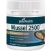 Premium Green Lipped Mussel 2500 from New Zealand - Buy Online on GoSupps.com