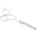 LINKANRUO Professional Hair Cutting Set Salon Barber Hair Shear Thining Regular Scissor Stainless Steel Material Durable for Barber Salon Pet Home Two Pieces Scissors (Size : Thining Scissor) - Buy Online on GoSupps.com