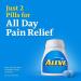 Aleve Pain Relief Naproxen Sodium Tablets 270 Count - Fast Acting Pain Relief - Buy Online on GoSupps.com