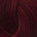 Igora Royal 5-88 Light Brown Red Extra - Buy Online on GoSupps.com
