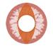 Matlens - Eos Crazy Fun Motif Halloween Colored contact lenses F56 Dragon eyes brown red 2 lenses 1 contact lens container 1 care product 50ml FBA